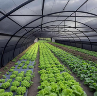 Filet d'ombrage agricole noir en PEHD, taux d'ombrage 35%-95%, tissu anti-UV pour serre, légumes, plantes, ferme, taille personnalisée