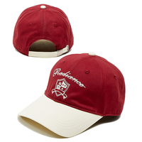 Casquette de baseball américaine Oxford à blocs de couleur, logo brodé personnalisé, bec de canard réglable, 100% coton, 5 panneaux, sportive, OEM