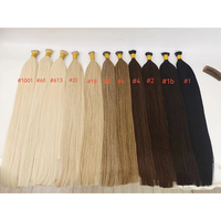 Nuancier de couleurs de cheveux humains Remy russes 100 % double trame, qualité professionnelle, pour extensions Micro-Link, 100g, expédition immédiate