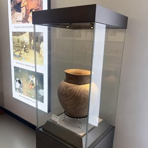 Vitrina de Vidrio Económica BX para Museo, Biblioteca y - Product Image 2