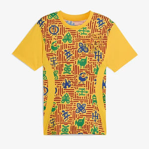 <span class=keywords><strong>Maillot</strong></span> de football 242526 Coupe d'Afrique Sénégal Jamaïque Nigéria <span class=keywords><strong>Maroc</strong></span> <span class=keywords><strong>maillot</strong></span> d'entraînement de l'équipe nationale domicile - Product Image 4