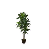 Fausses plantes en plastique, petit arbre artificiel décoratif d'herbe de Brasiletto pour la décoration de maison et d'hôtel, prix d'usine
