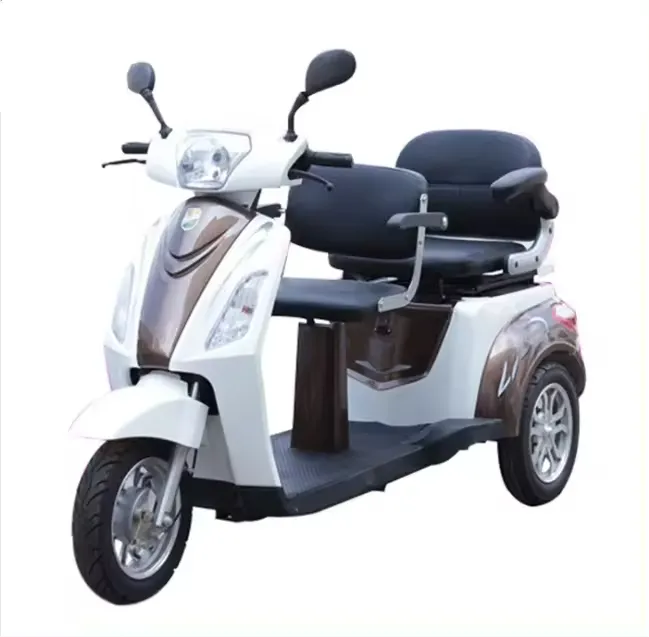 High Quality 3 Wheel Mobility Scooter Tricycle for Disabled with Double Seat