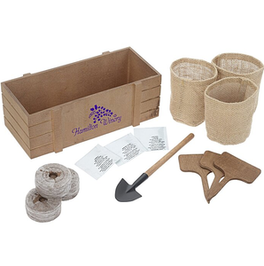 Kit de culture de fleurs de thé triple avec logo personnalisé, infusion aromatique apaisante, jardin d'intérieur, cadeau promotionnel, vente <span class=keywords><strong>en</strong></span> gros - Product Image 4
