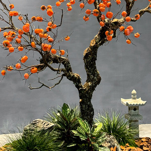 Nouvel <span class=keywords><strong>Arbre</strong></span> de <span class=keywords><strong>Kaki</strong></span> de Style Chinois Premium - <span class=keywords><strong>Arbre</strong></span> Fruitier Artificiel Réaliste pour la Décoration Intérieure et Extérieure - Product Image 4