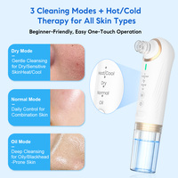 Limpiador Facial Hidroterapéutico Frío/Caliente Personalizado, Eliminador de Puntos Negros, Aspirador de Poros, Dispositivo de Limpieza Profunda de Poros, Herramienta de Belleza para el Cuidado de la Piel