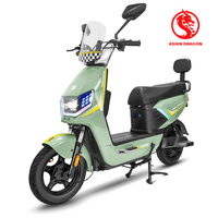 Vélo Électrique Urbain Compact à Moteur Arrière Discret 800W 60V, 2 Roues, Longue Autonomie, Haute Vitesse, avec Capteur