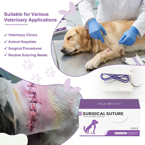 Suturas Quirúrgicas Veterinarias Absorbibles PGA PDO Catgut <span class=keywords><strong>PDS</strong></span> PGLA, Suturas Veterinarias de Polidioxanona Dexon con Agujas - Product Image 1