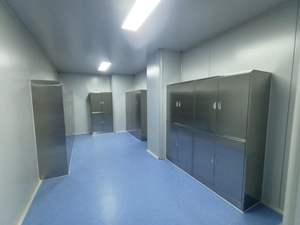 خزانة تخزين مختبرية من الفولاذ المقاوم للصدأ شديدة التحمل للمدارس والمستشفيات لتخزين المواد الكيميائية بتصميم عصري ودرجة تجارية - Product Image 4