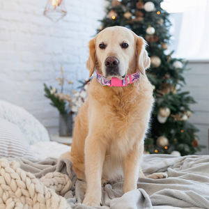 <span class=keywords><strong>Collar</strong></span> de camuflaje para perro, accesorio reflectante de nailon ajustable, color rosa - Product Image 5