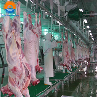 Machine d'abattage de chèvres industrielle ISO, équipement d'abattoir pour l'abattage halal des chèvres, ligne complète d'équipement d'abattage de chèvres