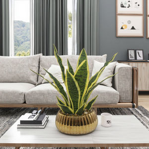 Maceta de planta de serpiente Artificial Tizen, bonsái de plástico de imitación, <span class=keywords><strong>hojas</strong></span> verdes/<span class=keywords><strong>amarillas</strong></span> para el hogar, jardín, decoración de Acción de Gracias, Festival - Product Image 2