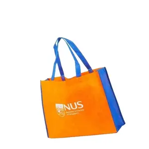 New style foldling pp woven bag non woven type customized made shopping bag