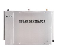 Générateur de vapeur pour sauna 9 kW avec commande numérique, mini contrôleur tactile, télécommande intelligente en option pour hammam