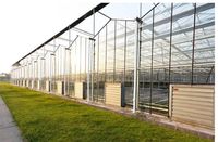 Invernadero Venlo de Vidrio Templado con Estructura de Acero y Sombreado Externo para Agricultura y Turismo