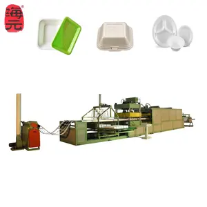 Wegwerp Schuimbakjes Kom Lunchbox Weghalen Voedselcontainer Thermocol Plaat Automatische Vacuümvormende Machine