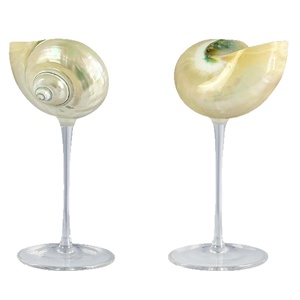 Verre à <span class=keywords><strong>martini</strong></span> et à vin en coquille de conque fait main, style minimaliste sur pied haut, artisanat de plage, cadeau - Product Image 1