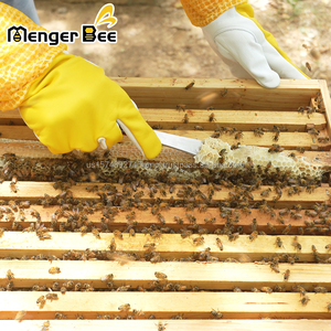 Herramienta de Apicultura Popular Nueva Menger Bee HT-6 de Acero Inoxidable, Raspador de Miel de Alta Calidad de 23.5cm, 1 Año de Garantía - Product Image 4