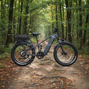 Bicicleta Eléctrica de Alta Potencia de 3000w 72v para Adultos de 26 Pulgadas con Batería Dual Plus - Product Image 3