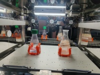 Incubadora Agitadora de CO2 Apilable, Agitador Orbital para Cultivo Celular, Pantalla Táctil PID, Sensor IR, Filtro 99.99%, Control Independiente de 3 Capas, Equipo de Laboratorio