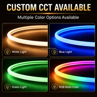 Bande lumineuse LED néon en silicone personnalisée 1212, semi-circulaire, haute luminosité, extérieure IP67 5V 12V 24V, ruban LED blanc CCT RGB