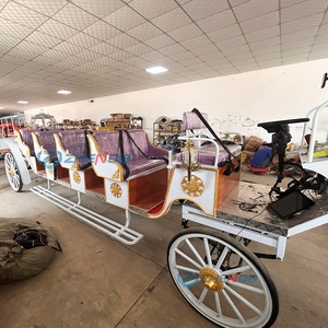 Offre Spéciale – Nouvelle Carrosse de Tourisme Électrique Sans Chevaux à Quatre Rangs de Sièges Violets à Vendre - Product Image 3
