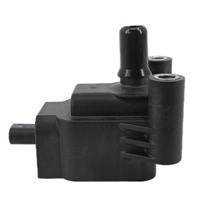 คอยล์จุดระเบิด T18045 E262 D10240 สำหรับเครื่องยนต์ก๊าซธรรมชาติ China V VI อะไหล่ทดแทน - Product Image 4