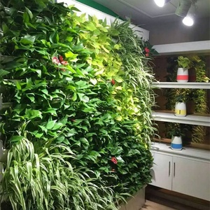 Siphem Smart Garden, Sistema de Pared Verde Artificial Hidropónico, Pared Ecológica Inteligente para Plantas Reales - Product Image 1