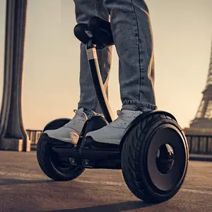 原装赛格威Ninebot智能自平衡电动滑板车，带发光二极管灯，成人两轮便携式电动滑板车