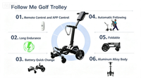 Caractéristiques uniques 5 modes Capacité de montée élevée Système d'équilibrage automatique intelligent Fonction Suivez-moi Chariot de golf électrique à 4 roues 35 kg