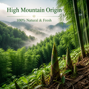 Germogli di Bambù Verde di Alta Montagna in Acqua, Croccanti e Freschi, Certificati HACCP, Naturali, 500g - Product Image 6