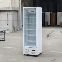 Réfrigérateur vertical pour épicerie, refroidisseur de boissons pour supermarché, réfrigérateur commercial avec porte vitrée, commande LED