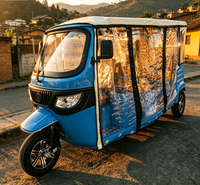 Tricycle électrique spacieux conforme CEE avec contrôleur 48 tubes et pneus à vide pour le transport de passagers dans les parcs et les sites touristiques