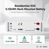 Système de batterie solaire 5,12 kWh 5 kWh 51,2 V 100 Ah LiFePO4 6000 cycles, stockage d'énergie photovoltaïque mural CAN, garantie 5 ans pour la maison