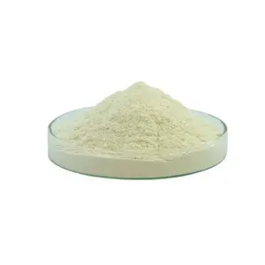 Extrait de soja/poudre d'extrait d'usine de soja/glycine max (L.) Merr/Isoflavones