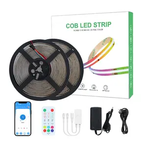 Dream Color change RGBIC COB Kit 5m 10m Music Sync Smart 12V 24V RGB COB LED Strip Light per natale Home Room Party Decor