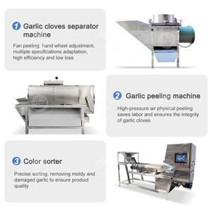 Planta de proceso de polvo de ajo ORME, máquina automática de proceso de cáscara de ajo, línea de producción de polvo de ajo - Product Image 2