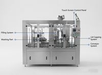 Usine de remplissage et de bouchage automatique clé en main 3-en-1 pour jus de fruits concentrés et boissons en PET pour petites entreprises
