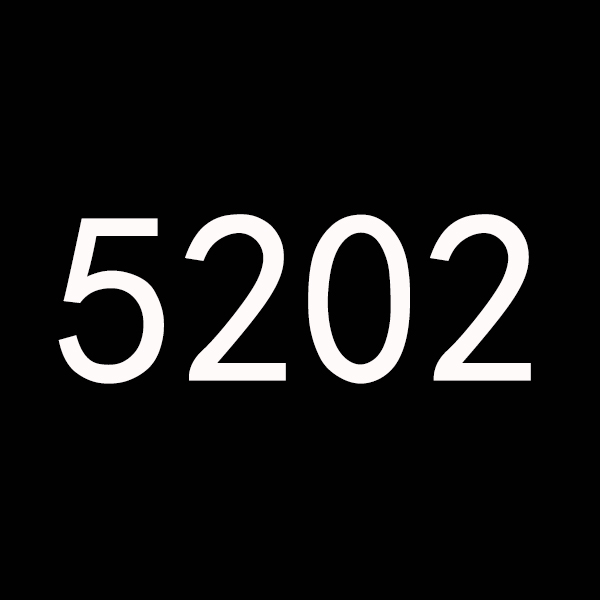 5202
