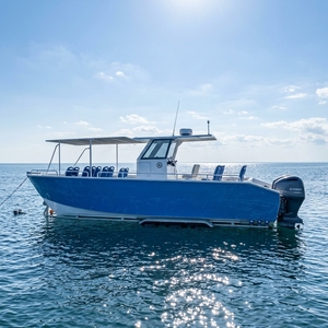 Catamarán de Aluminio de 32 pies (9.50 m) para 12 Pasajeros, Barco Turístico, Barco de Transporte, Barco para Excursiones Diurnas - Product Image 3