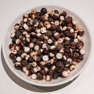 Sementes de Fruta Gorgon de Alta Qualidade Fornecimento em Lote Comestível Euryale Ferox para o Mercado Global - Product Image 1