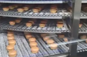 Peralatan toko roti produsen Cina Mesin konveyor pendingin Spiral kontrol pasokan langsung