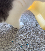 Litière pour chat en bentonite de qualité supérieure, faible teneur en poussière, absorption élevée, sable minéral naturel pour chat, emballage personnalisé et étiquette privée
