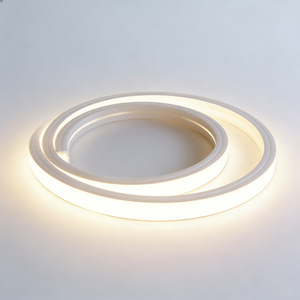 Bande LED néon flexible en silicone 24V personnalisée, indice de protection IP65, <span class=keywords><strong>lampe</strong></span> en forme de maïs pour application paysagère, bande néon à corps en PVC séparé - Product Image 4