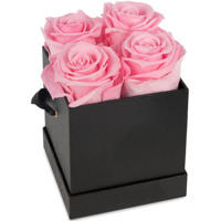 Jede Liebe Geschenks ets für Frauen Rose Blumenkästen Langes Leben für immer erhalten Ewige 4 Rosen in quadratischer Geschenk box