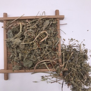 Folhas Secas de Alchemilla Mollis (Manto de Senhora) - Ervas Secas a Granel para Atacado - Product Image 2