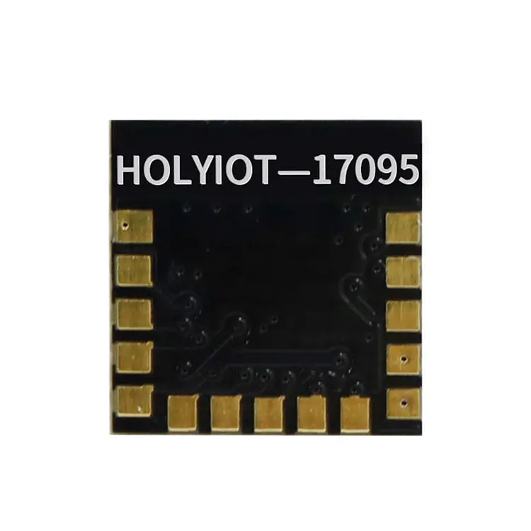 Holyiot Ble 4.2 모듈 nRF52832 시그메쉬 노드 무선 rf Gfsk 2.4g 블루투스 모듈