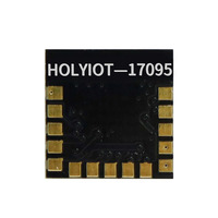 Module Bluetooth Holyiot BLE 5.3 NRF52832 Sigmesh Node sans fil RF Gfsk 2.4GHz