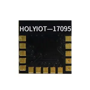 Módulo Holyiot Ble 4,2 nRF52832 Sigmesh Node Wireless Rf Gfsk 2,4g Módulo Bluetooth
