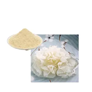 Anti-aging Water-Soluble Tremella Fociformis Extract Powder 30% Polysaccharide